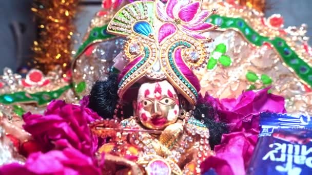 Versierd Krishna Janmashtami - Het vieren van de geboorte van Krishna De Achtste Avatar van Vishnu in India. - Terugtrekken. — Stockvideo