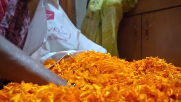 Mão das mulheres pega um punhado de pétalas de flor de calêndula e coloca-los em um saco branco em Agra, Índia - tiro de close-up — Vídeo de Stock