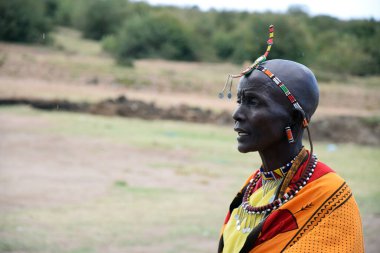 Kenya 'daki Masai Mara Ulusal Parkı' nda fil ailesi.