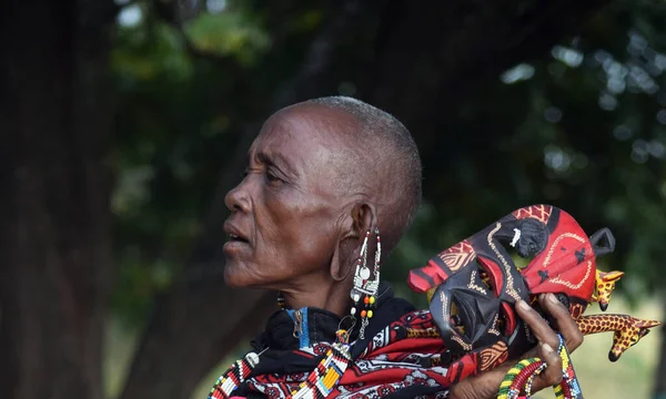 Kenya Daki Masai Mara Ulusal Parkı Nda Fil Ailesi — Stok fotoğraf