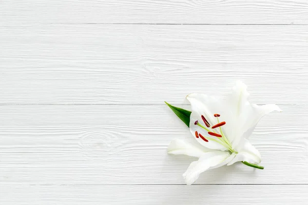 Condolence card with white flowers lily, from above