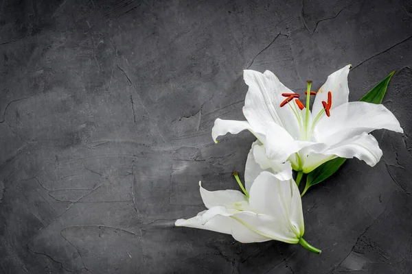 Condolence card with white flowers lily. Funeral symbol