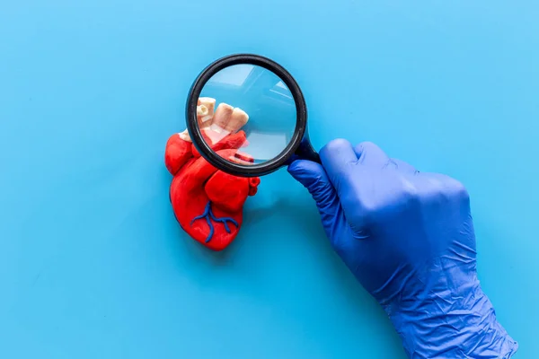 Female hand with anatomical heart model. Health insurance and heart care concept