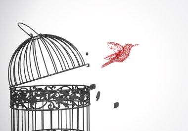birdcages düşük Poli