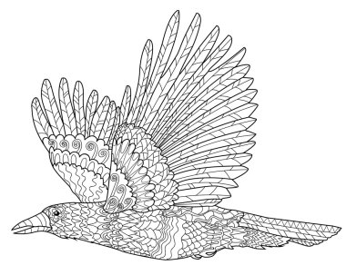 Flying raven with high details. clipart