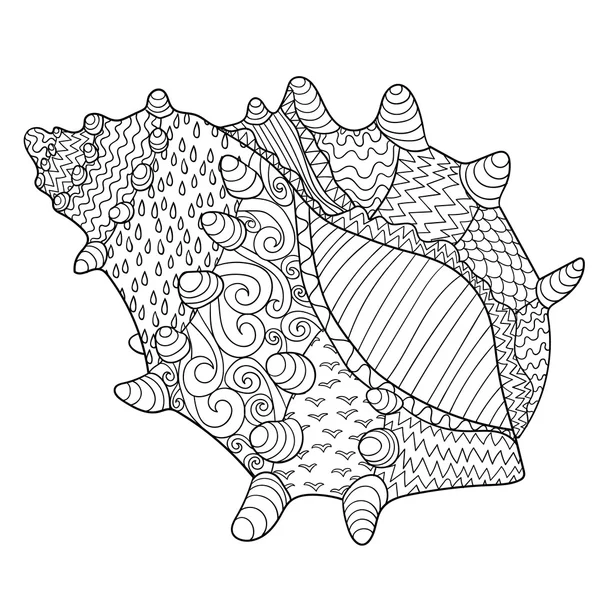 Seashell yüksek detayları ile.