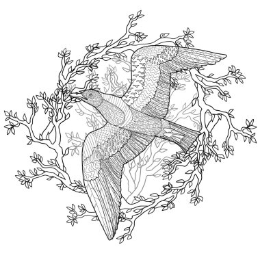 Yüksek detayları ile uçan martı.