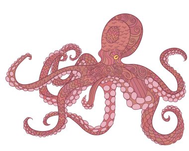 Ahtapot yüksek detayları ile.