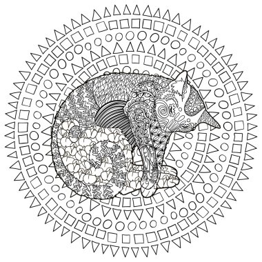 Yüksek detay desenli kedi.