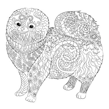 Yüksek detay Pomeranian köpek desenli.
