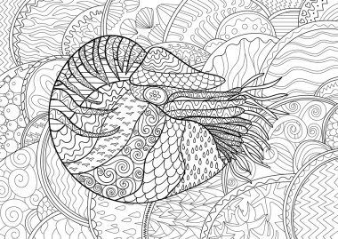 Nautilus ile yüksek ayrıntıları.