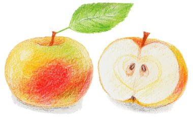 Gerçekçi olgun elma