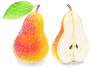 Beyaz arka plan üzerinde gerçekçi armut.