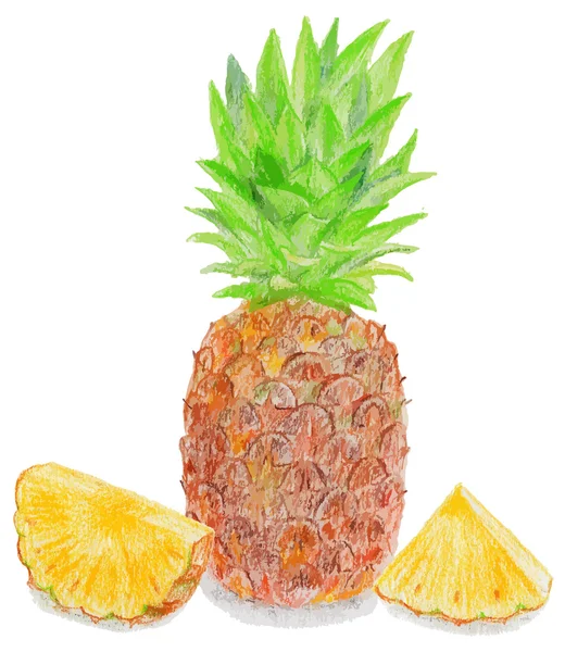 Beyaz arka plan üzerinde gerçekçi ananas. — Stok Vektör