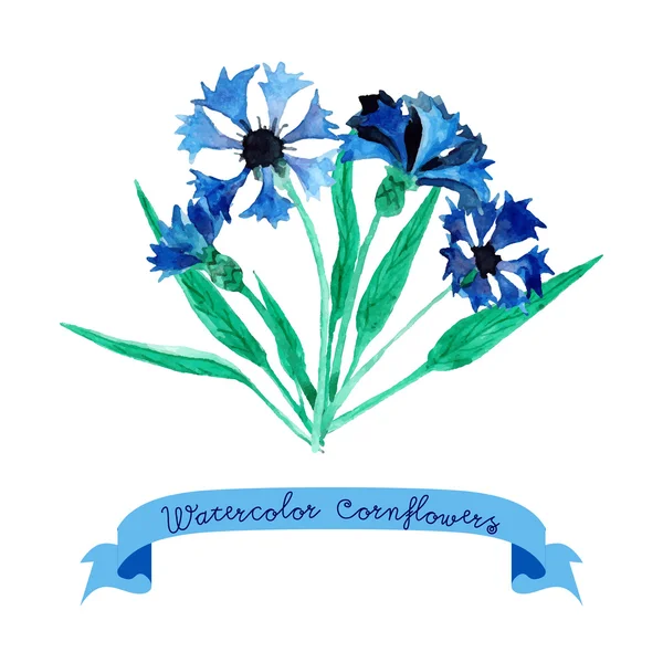 Tarjeta con cornflowers acuarela . — Archivo Imágenes Vectoriales