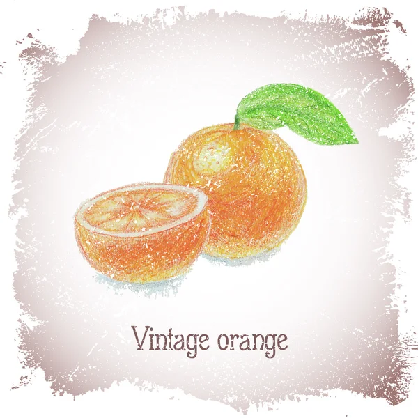 Carte vintage avec orange . — Image vectorielle