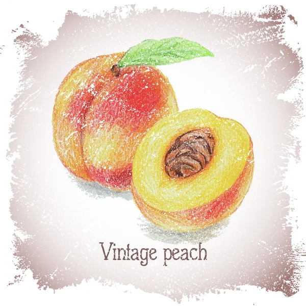 Vintage card with peach. — Stock Vector