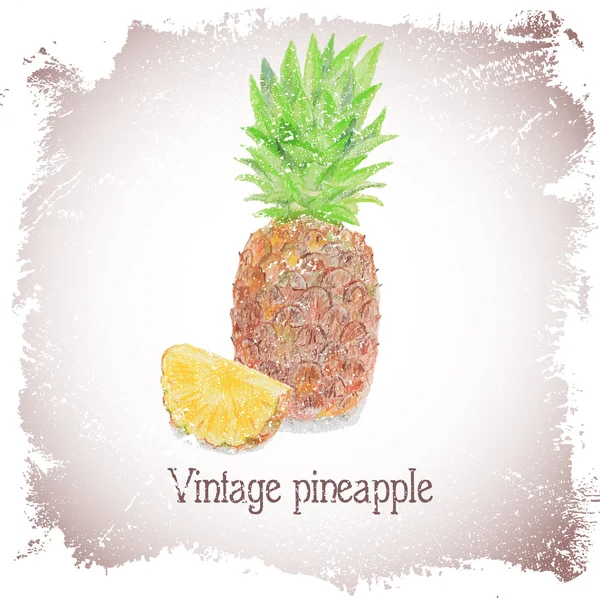 Vintage card with pineapple. — Stock Vector