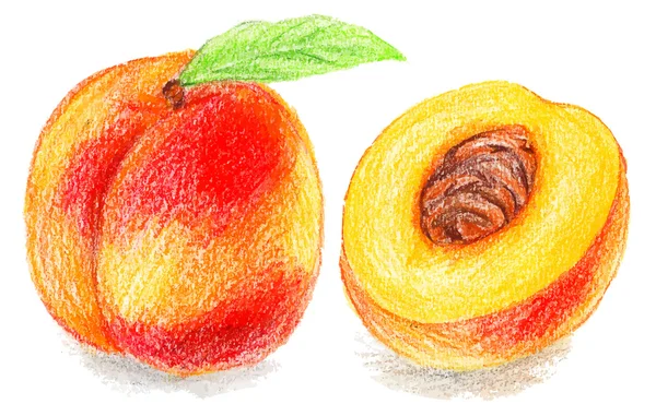 Süßer Pfirsich mit Blatt — Stockvektor