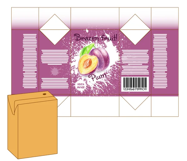 Diseño de caja de jugo o batido — Vector de stock