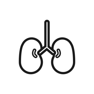 akciğer vektör çizimi