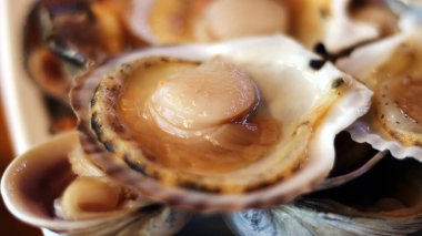 Arka planda restoranda ızgara scallops, yakın