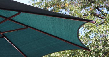 yeşil şemsiye ve mavi gökyüzü olan ağaç