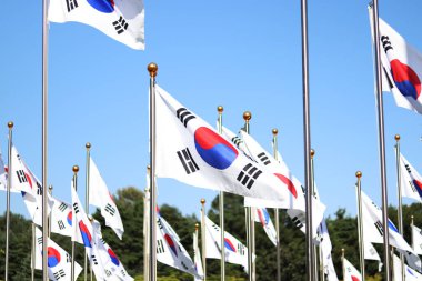  Kore bayrakları rüzgarda dalgalanıyor..