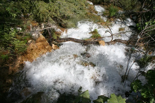 Plitvice Seen, Kroatien, Europa. — Stockfoto