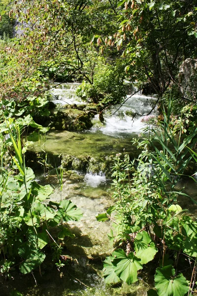 Plitvická jezera, Chorvatsko, Evropa. — Stock fotografie