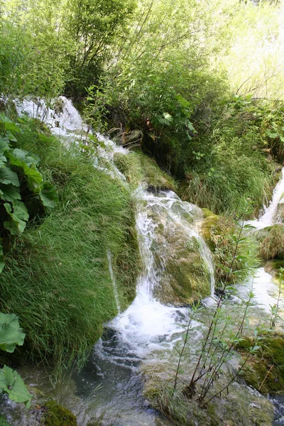 Lagos de Plitvice, Croacia, Europa . — Foto de Stock