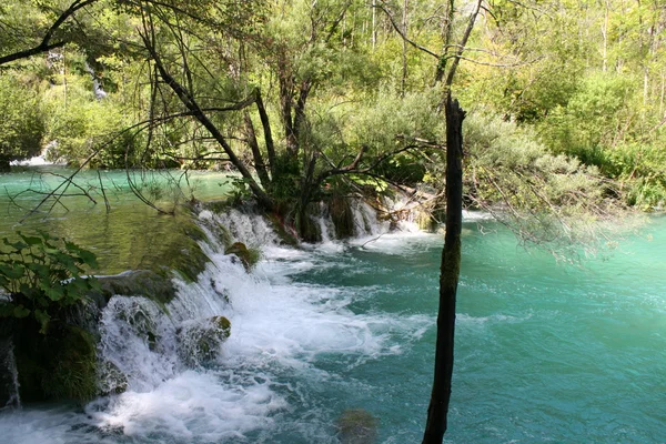 Plitvicei-tavak, Horvátország, Európa. — Stock Fotó