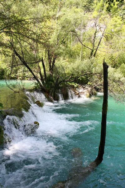 Плітвіцькі озера, Хорватія, Європа. — стокове фото