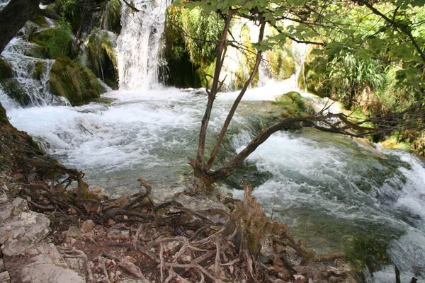 Lagos de Plitvice, Croacia, Europa . — Foto de Stock