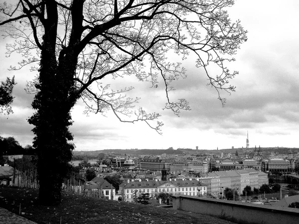 Czarno -białe zdjęcie Praga — Zdjęcie stockowe