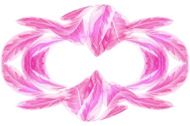 Renkli yapraklar, pembe sonbahar yaprağı beyaz arka planda kalp şeklinde izole edilmiş, Sevgililer Günü kavramı.