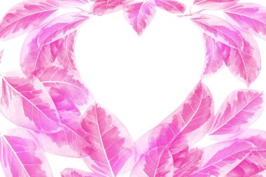 Renkli yapraklar, pembe sonbahar yaprağı beyaz arka planda kalp şeklinde izole edilmiş, Sevgililer Günü kavramı.