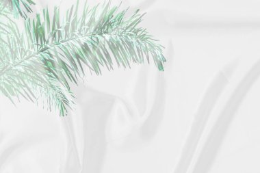 yeşil palmiye yaprakları beyaz kumaş dokusu yumuşak bulanık arkaplan