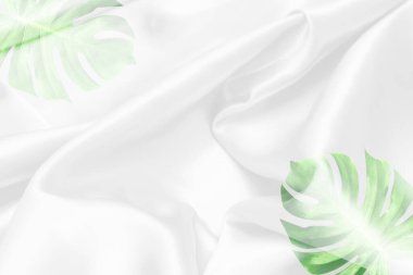 yeşil canavar yaprakları beyaz kumaş desenli yumuşak bulanık arkaplan
