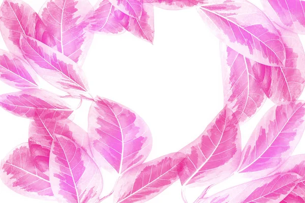 カラフルな葉のパターン 白い背景にハート型の孤立したピンクの秋の葉 バレンタインデーのコンセプト — ストック写真
