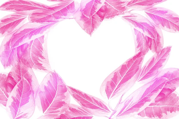 Colorful Leaves Pattern Pink Autumn Leaf Heart Shaped Isolated White — Stock Photo, Image