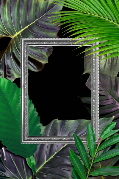 绿叶图案 白色框架 自然概念 热带叶树纹理背景 — 图库照片