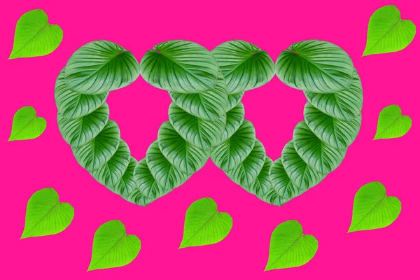 Hojas Verdes Forma Corazón Para Concepto Del Día San Valentín —  Fotos de Stock