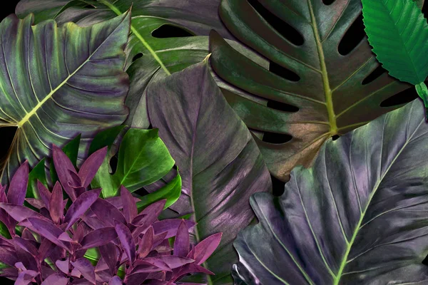 Modèle Feuilles Vertes Pour Concept Nature Feuille Tropicale Fond Texturé — Photo