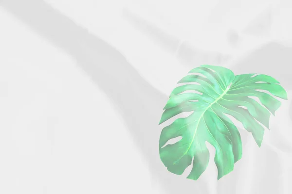 緑のモンスターの葉のパターンのオーバーレイ白い生地のテクスチャソフトブラーの背景 — ストック写真