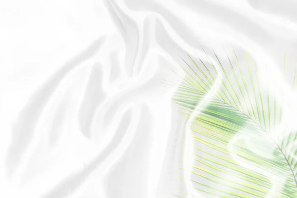 Foglie Palma Verde Modello Sovrapposizione Con Tessuto Bianco Texture Morbido — Foto Stock