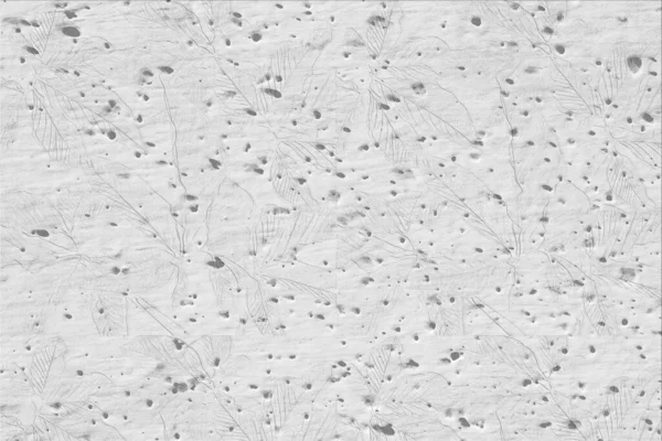 Beyaz Duvar Yaprak Desenli Gri Kağıt Dokusu Soyut Çimento Yüzey — Stok fotoğraf