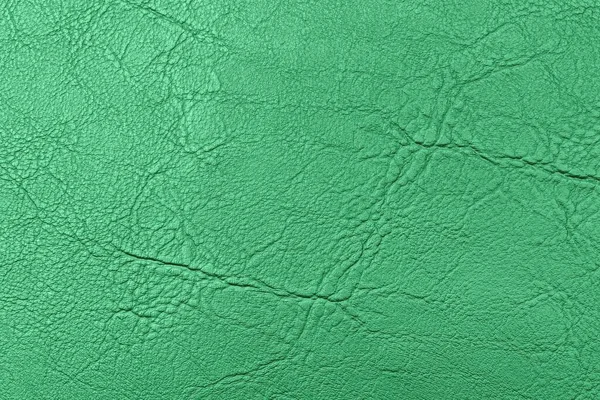 Зеленый Цвет Кожи — стоковое фото