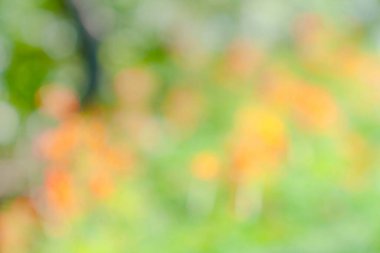 Soyut renkli pastel, rengarenk desenli arkaplan, web tasarımı veya pankart için grafik tasarımı 