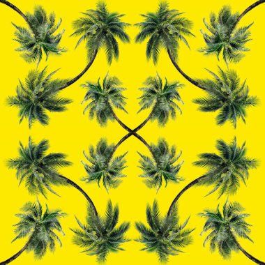 Doğa konsepti için yeşil palmiye yaprakları deseni, sarı arkaplanda izole edilmiş tropikal hindistan cevizi ağacı